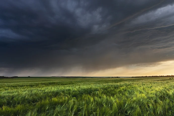 The sky sagged - My, Field, Thunderstorm, Wind, Steppe, Rostov region, Landscape