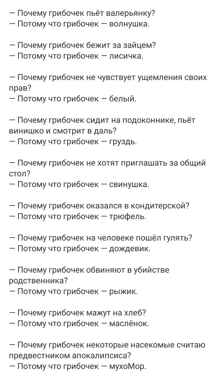 Грибочек - Грибы, Почему?, Юмор, Скриншот, Загадка, Игра слов