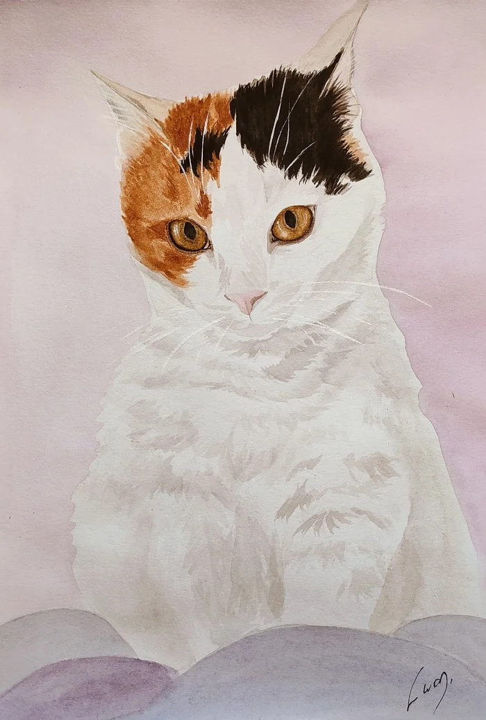 Cat portrait #16 A delicate flower was dumped in a tray) - My, Drawing, Learning to draw, Painting, Beginner artist, cat, Illustrations, Watercolor, Pets, Animalistics