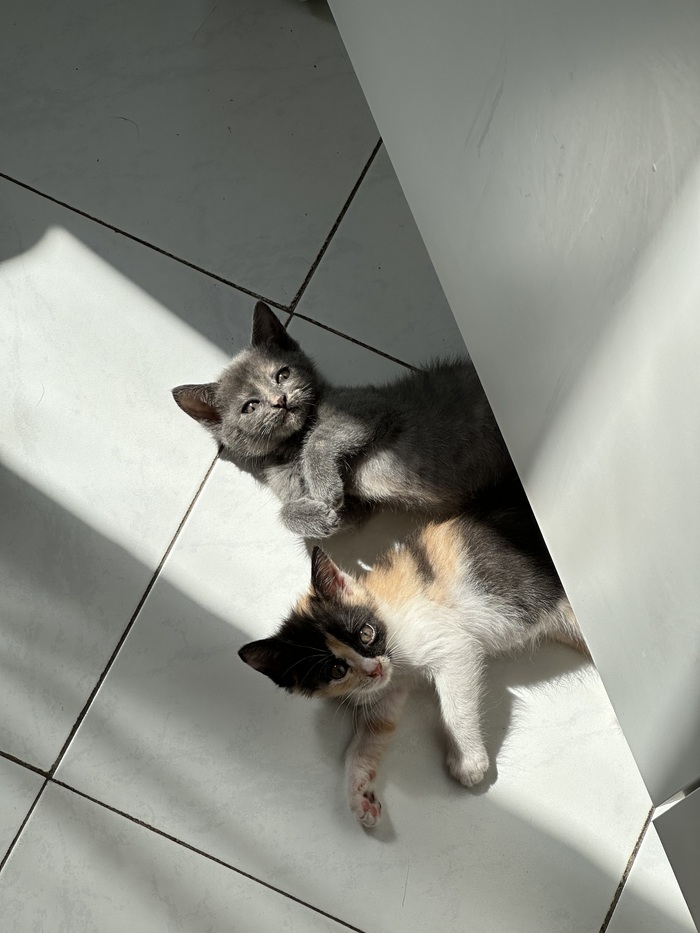 Любимое место по утрам