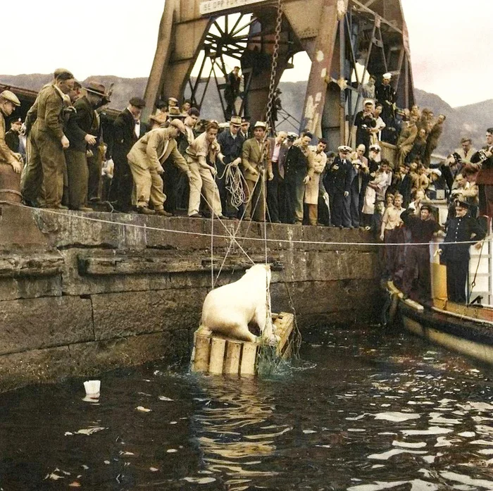 Осколки истории : Интересные и редкие ретро-фотографии Европы. 20 раскрашенных фотографий ХХ века. Часть VII Историческое фото, Старое фото, Франция, Норвегия, Швеция, Германия, Нидерланды (Голландия), Испания, Италия, 20 век, Колоризация, Длиннопост