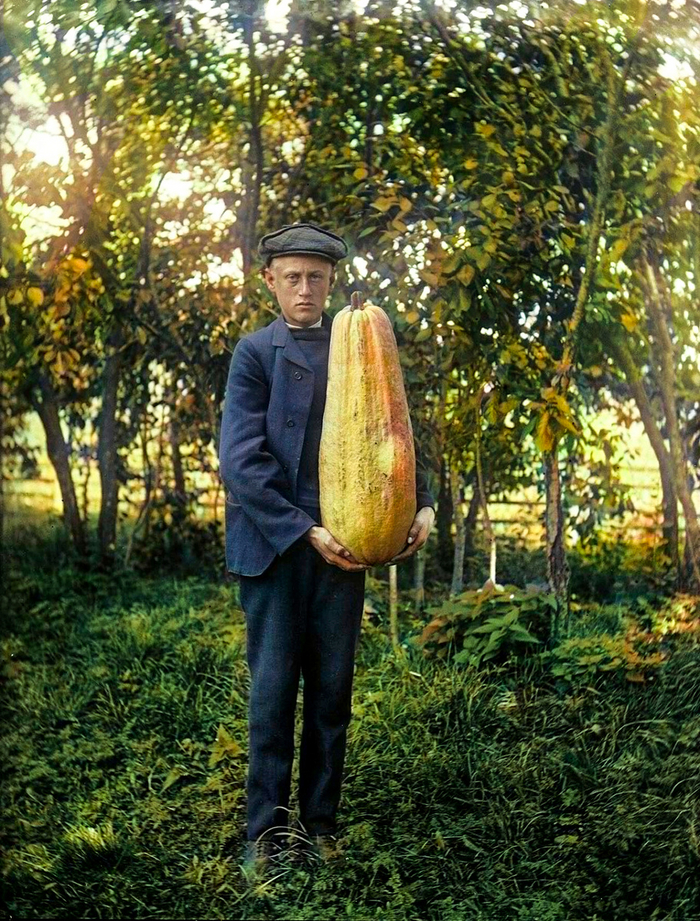 ��������: ���� �������