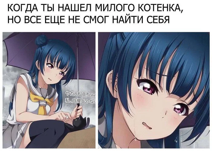 I am 31 years old and I am still searching for myself - Anime, Anime memes, Picture with text, cat, Kittens, Series Animes 2