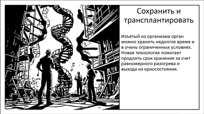 Новая технология для сохранности и трансплантации органов - Моё, Наука, Исследования, Научпоп, Эксперимент, Трансплантация, Крионика, Длиннопост