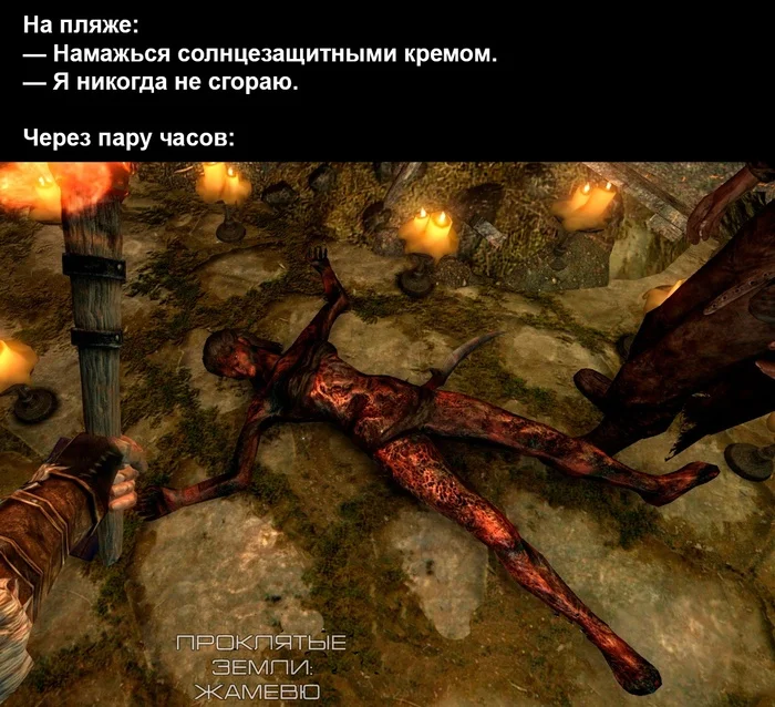 Сгорела - Мемы, The Elder Scrolls V: Skyrim, Компьютерные игры, Картинка с текстом, Видеоигра, ВКонтакте (ссылка)