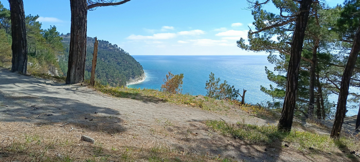 начало апреля