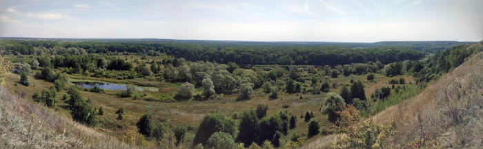 Река Воронеж, середина августа