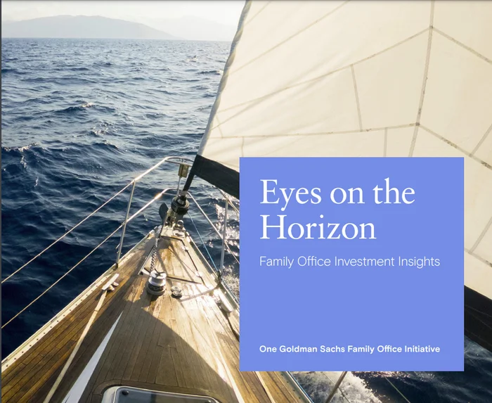 Goldman Sachs: Eyes on the Horizon. Family Office Investment Insights - Моё, Трейдинг, Финансы, Инвестиции, Длиннопост