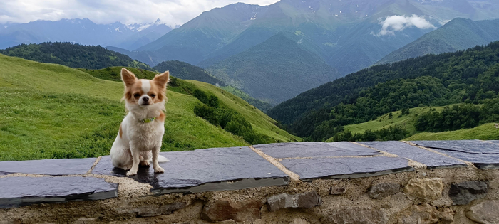 вырос... кажется...