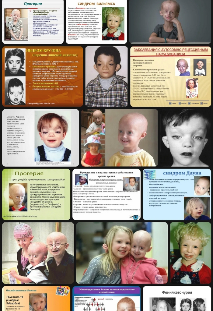 Ответ на пост «Не рожают»