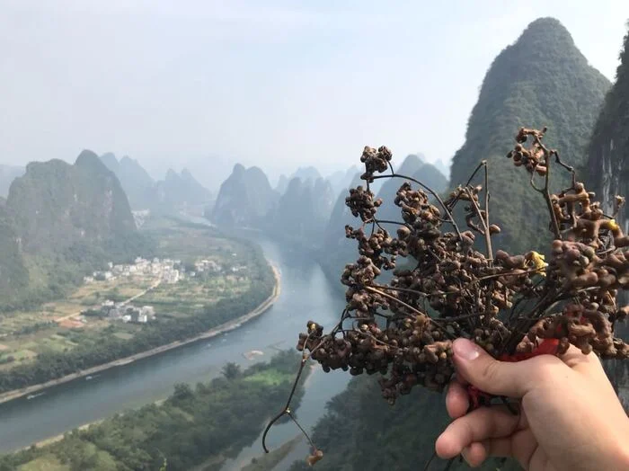 Yangshuo Hills in China - Weekend Trip - My, China, Yangshuo, Asia, Youtube, Chinese, Tourism, Living abroad, Nature, The hills, The mountains, Drive, The rocks, Video, Longpost