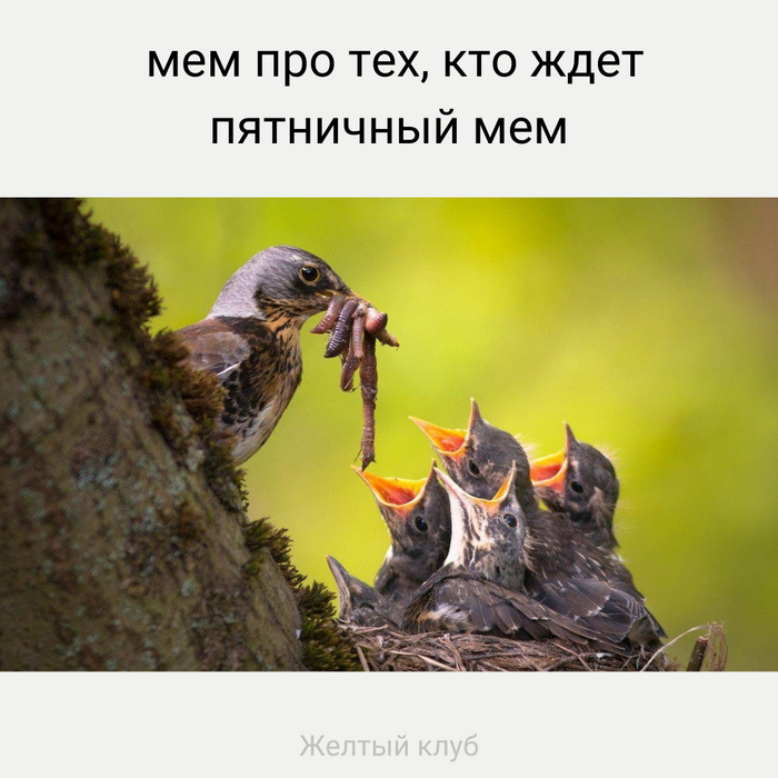   , 1, ,   