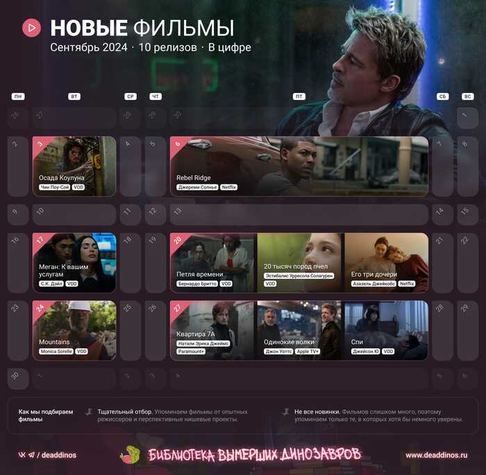       2024  ,  ,  ,  ,  , 