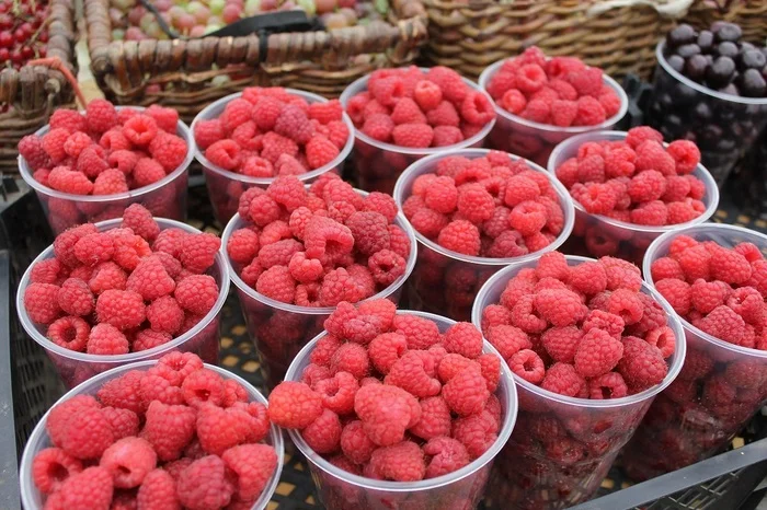 Is it true that the Raspberry Jam festival will be held in Russian cities? - Fake news, news, Media and press, The festival, Longpost