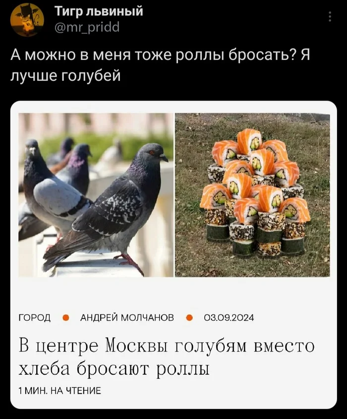 Muscovites have become spoiled - Moscow, Pigeon, Twitter, Rolls, news, Screenshot