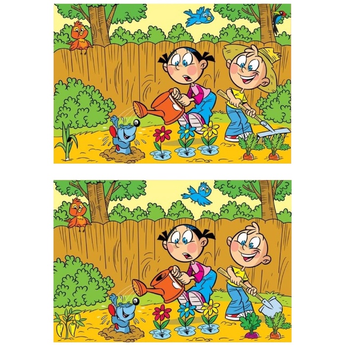     ,  , , , , , , , , , , , , , ,   , , , , 