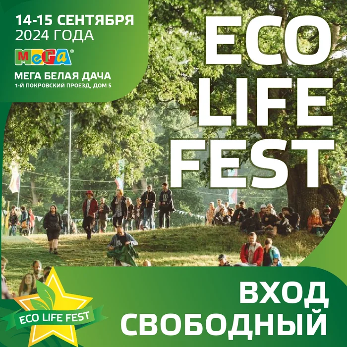 Благотворительный фонд “Дети+” - партнер “Eco Life Fest” - Моё, Фестиваль, Мероприятие, Партнеры, Благотворительность, Длиннопост