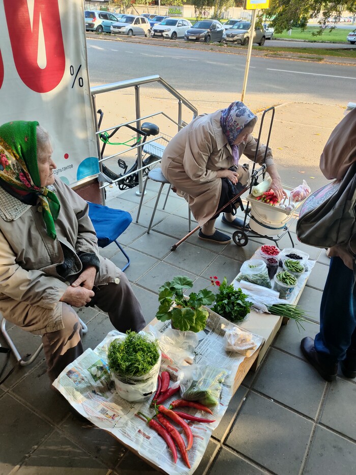 �� ���� ��� ���