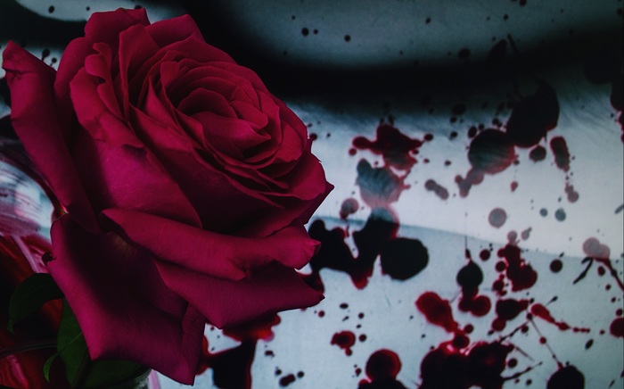Bloody rose