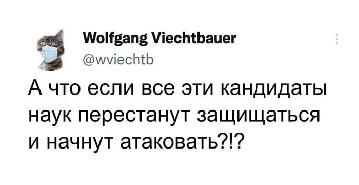 Кандидаты наносят ответный удар - Забавное, Юмор, Скриншот, Картинка с текстом, Twitter, Игра слов, Кандидат наук, Защита