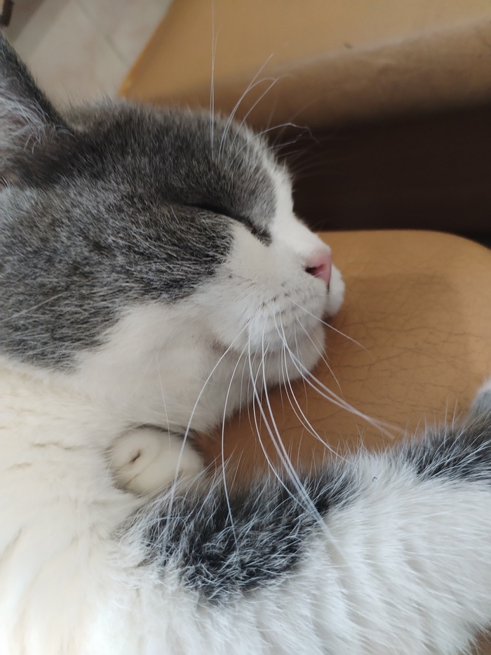 ����� �������� ����������