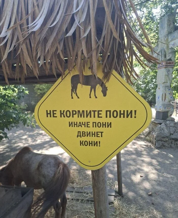 Amazing slogan - Zoo, Signboard, Inscription, Creative, Pony, The photo