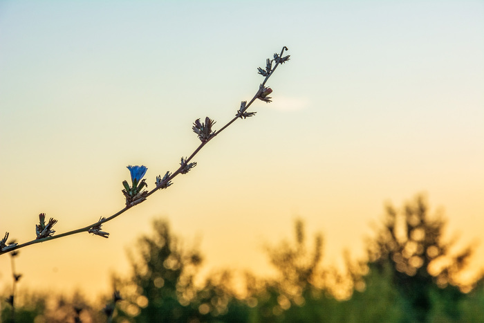 ���������� ����...