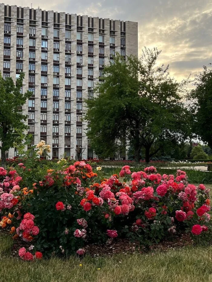 Сентябрь в Донецке - Моё, Донецк, ДНР, Сентябрь, Длиннопост