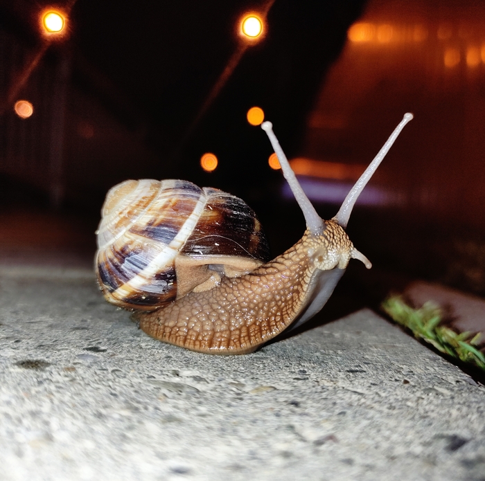 ���������� �� ���������. ���� �� ���� �3