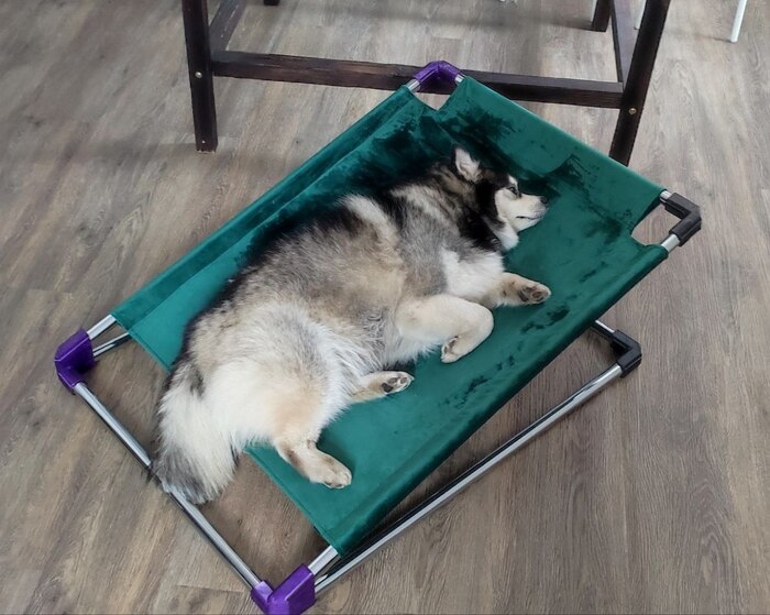 �������-������� ��� ���.