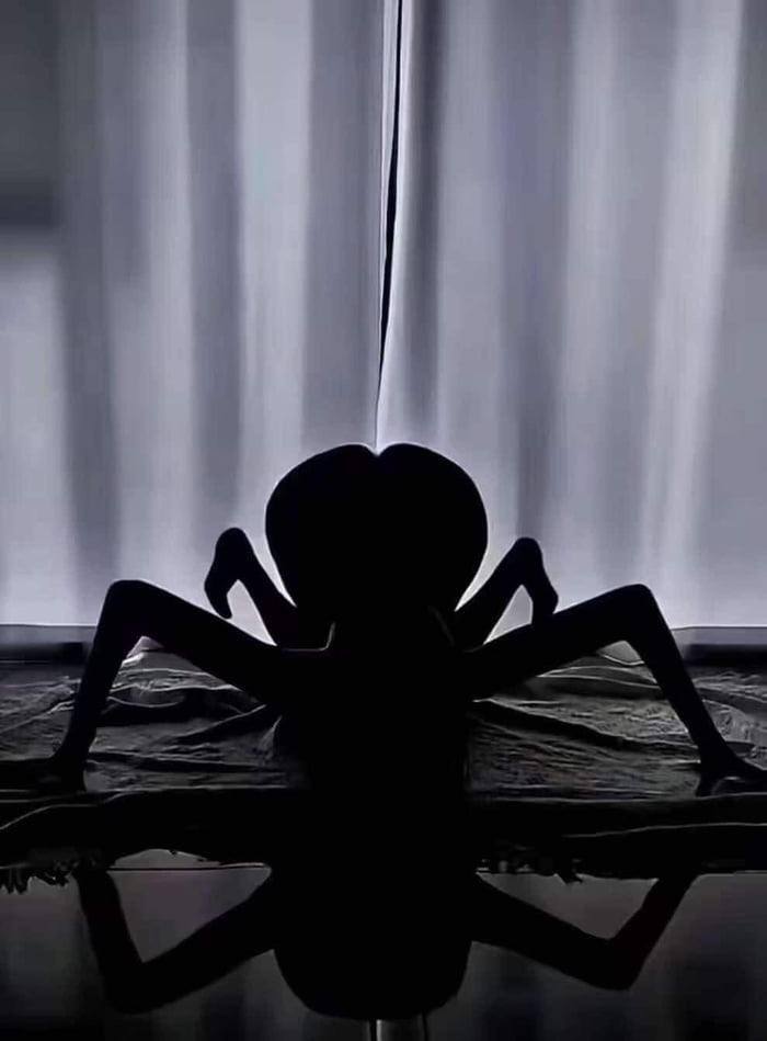 Either a girl or a vision - Girls, Spider, It seemed, The photo, Booty, Silhouette