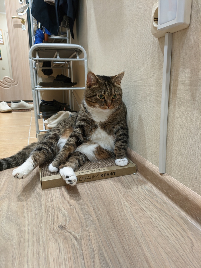 ������� �� ���� �����