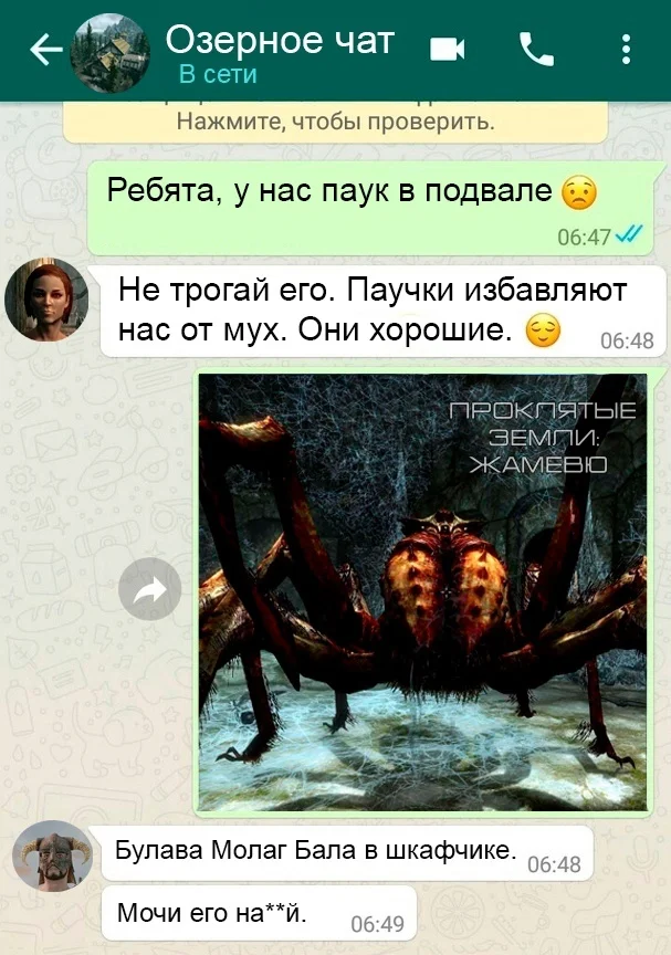 Паук - Мемы, The Elder Scrolls V: Skyrim, Компьютерные игры, Картинка с текстом, Видеоигра, ВКонтакте (ссылка), Мат