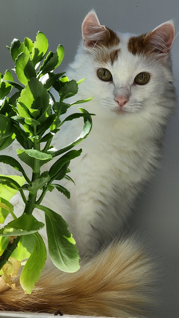  ! , ,  ,  , ,  , ,    , , ,  , , 