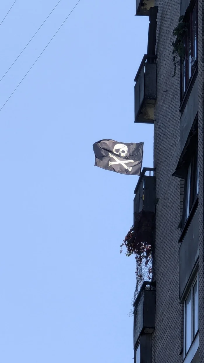 Jolly Roger in Vesyoliy Poselok (St. Petersburg) - My, Saint Petersburg, Pirates, Flag, Video, Vertical video, Longpost