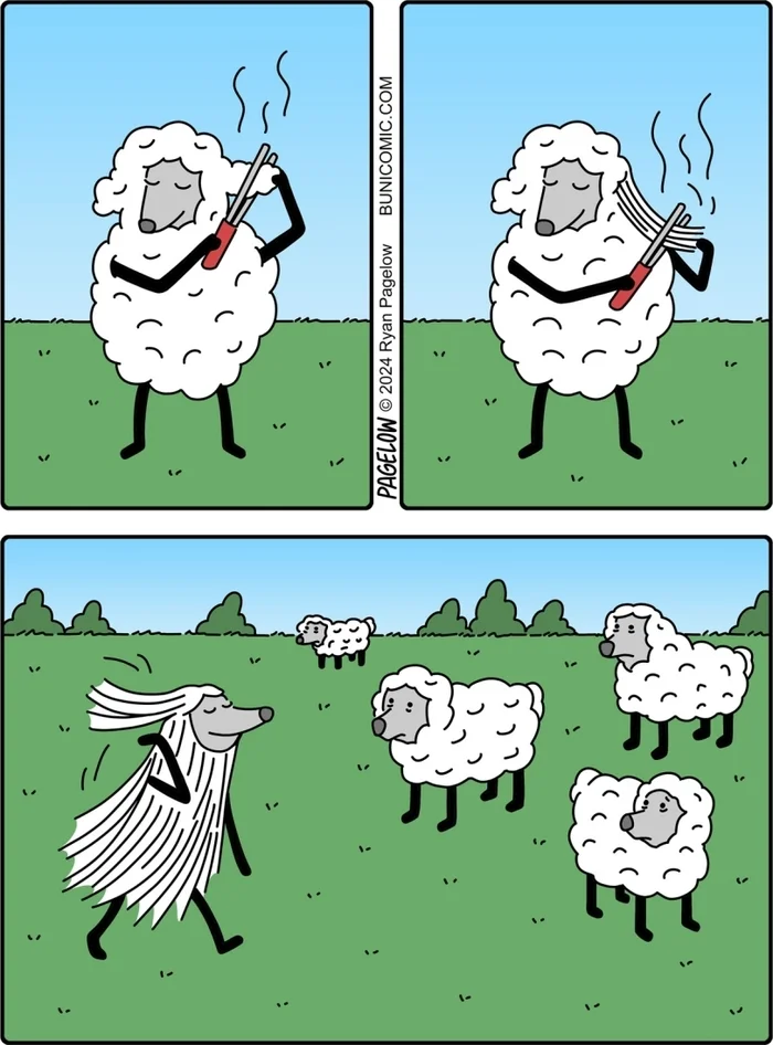 Buni comic - Comics, Buni, Sheeps, Hair straightening