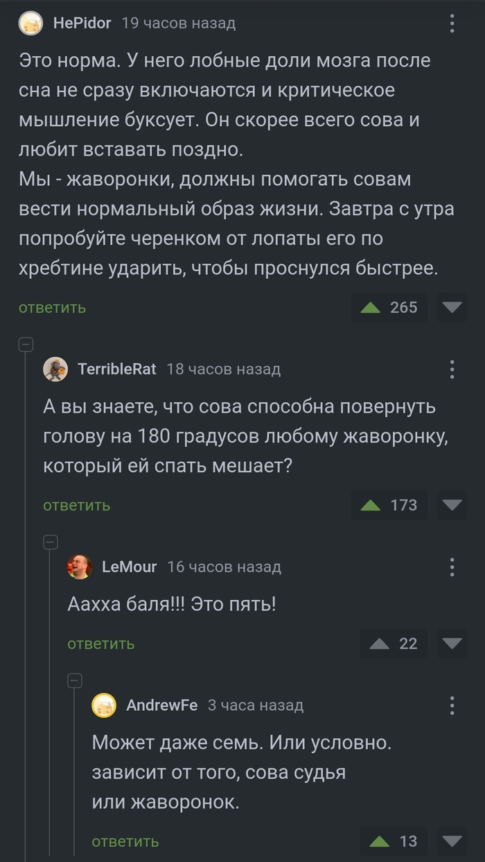 Сова VS жаворонок | Пикабу
