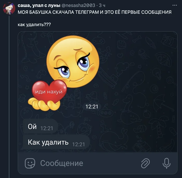 Цифровизация бабушки прошла успешно - Скриншот, Twitter, Юмор, Семья, Бабушка, Переписка, Telegram