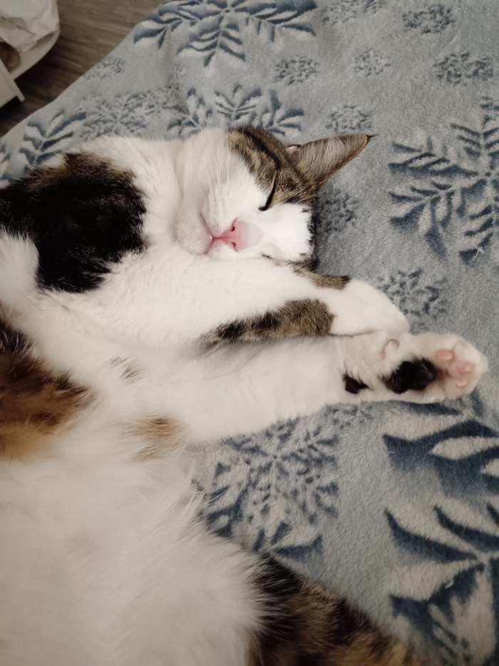 Мирон устал, был рядом всю ночь пока я разбирался в работе.