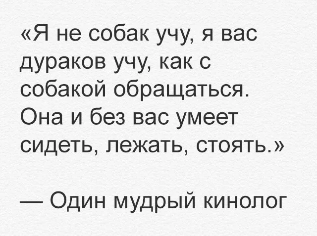 Интересный подход... - Юмор, Картинка с текстом, Кинология, Собака, Скриншот