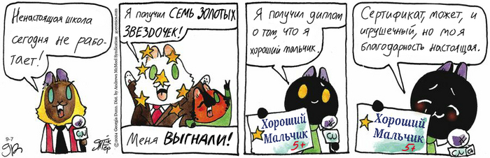 Котейкины Новости от 07.09.2024