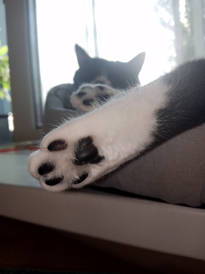  , , ,  , 