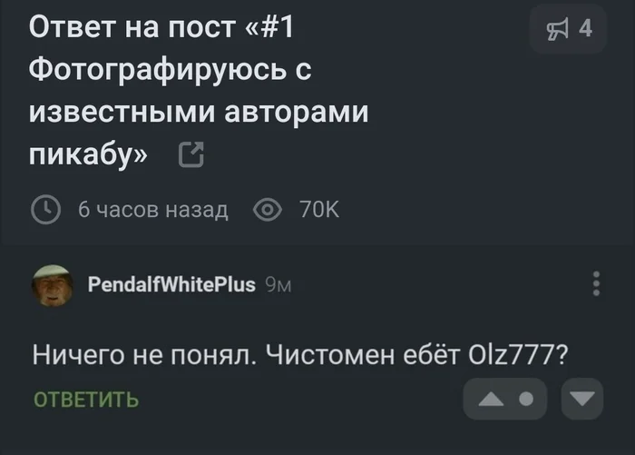 Reply to post #1 Taking pictures with famous Pikabu authors - Chistoman, Peekaboo, Longpost, Olz777, Nostrils, A wave of posts, Reply to post