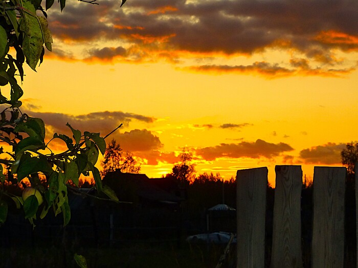 Как то вечером