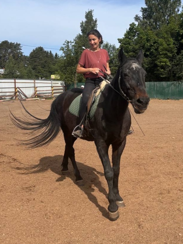 Before and after. 15 years together - My, It Was-It Was, Horses, Longpost