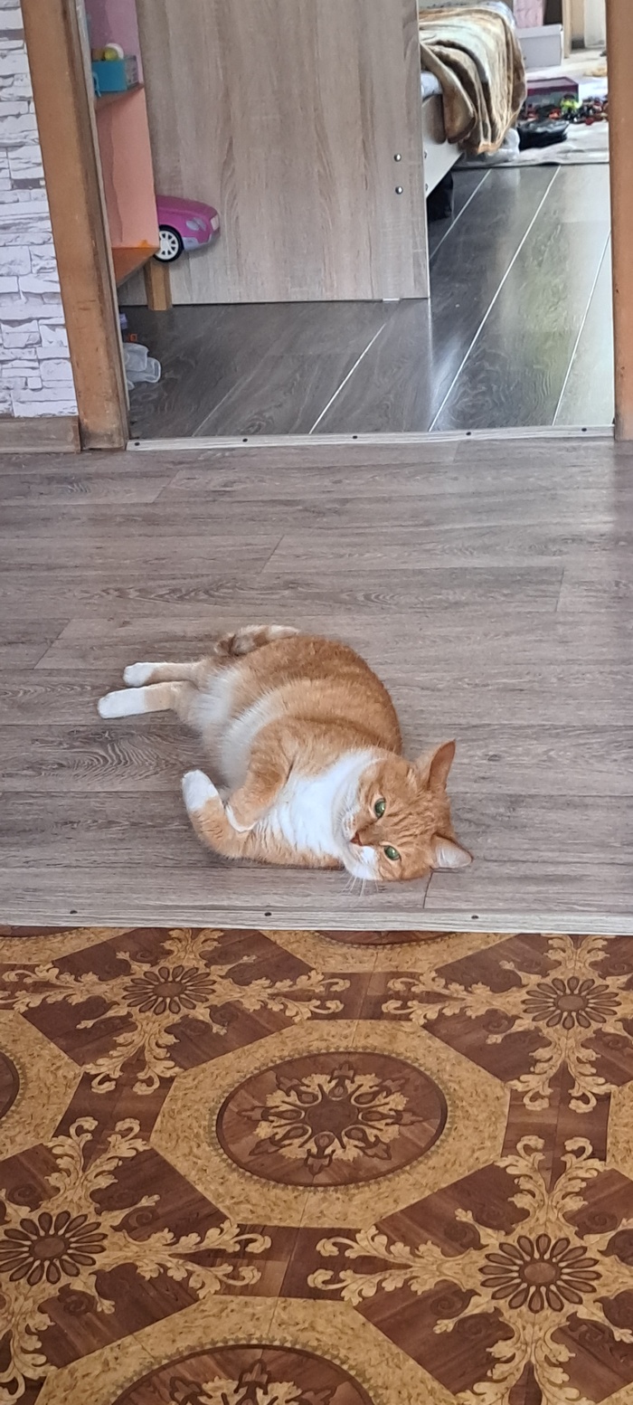 Многие завтра с утра при звуке будильника