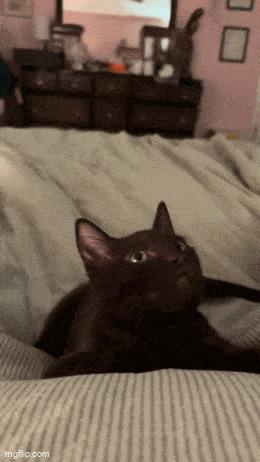   , , , 