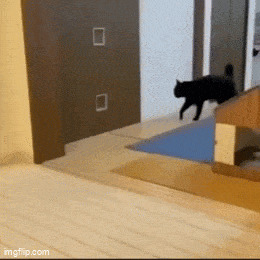   , , , 