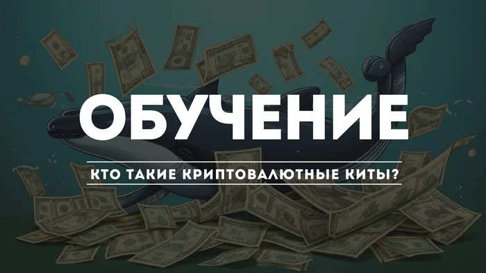 Криптовалютные Киты. Кто они и как влияют на рынок? Обучение - Моё, Биткоины, Трейдинг, Криптовалюта, Стартап, Финансы, Криптобиржа, Крипторынок, Арбитраж криптовалюты, Длиннопост