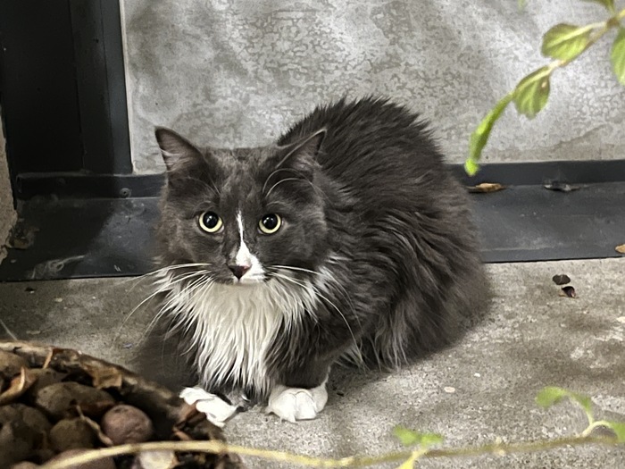 Продолжение поста «Завтра Грей станет частью семьи :)»